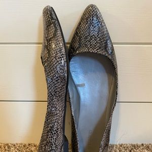 Snake Print Pointy Toe Flats
